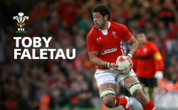 Toby Faletau