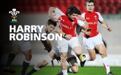 Harry Robinson