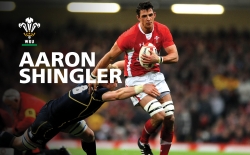 Aaron Shingler